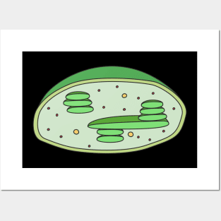 Chloroplast Posters and Art